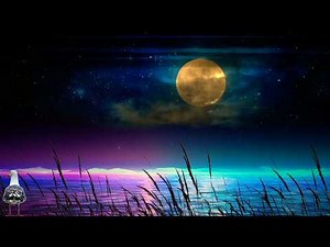 Sound of the sea with seagulls. Natural sounds ⎪ Fall asleep quickly. Quiet relaxation music