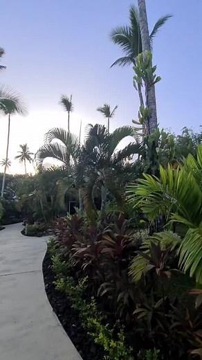 #beachvibes #resort #samoa #saletogasandsresort #saletogasands #love #ocean #beach