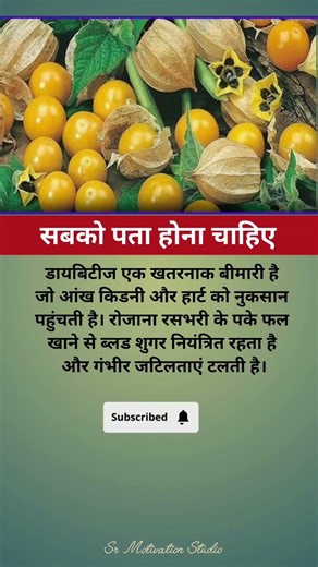 #motivation #jayakishoribhajan #shortsfeed #quotes