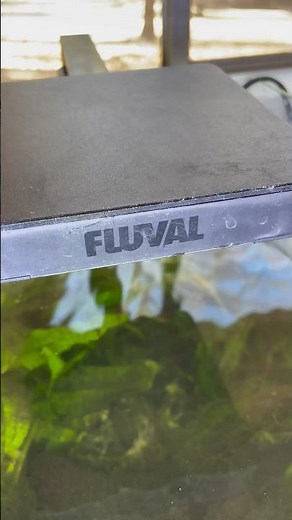 Fluval aquarium light installation ￼