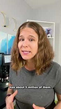 Whats in Blood Under a Microscope?