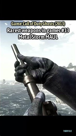 Rarest weapons in games #13