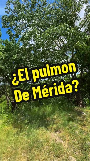 Parque Ecoarqueológico del Poniente: ¿el pulmón de Mérida?