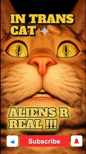 Alien Language Activated 👽 | Scared Orange Cat Short #catshorts #zoomies #shorts