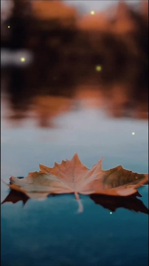 A woman doesn’t just change. She reacts. She mirrors the energy she’s given.💔 Treat her with respect, and you’ll see loyalty. Treat her with love, and you’ll witness softness. Treat her carelessly… and she’ll protect herself. 🌙 ✨ Real love nurtures — it doesn’t neglect. 👇 Follow @Relationshipthoughtclub for more strong love truths 💬 Tag someone who needs to read this --- #RelationshipThoughts #LoveAdviceForWomen #WomenEmpoweringWomen #KnowYourWorthQueen #RealLoveMatters #RespectHer #HealthyR