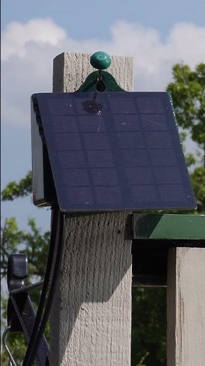 See How Plants Thrive With Solar Power!