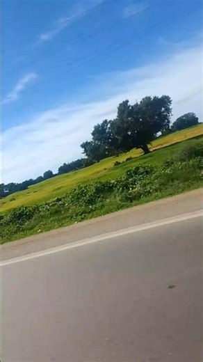 le Maroc que j'aime مناظر طبيعية خلابة على طول الطريق الوطنية #travel #nature #visitermaroc #اكسبلور