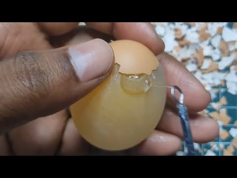 Raw Egg Peeling Challenge #31 🥚 | NEW SEASON 🔥😱 #asmr #satisfying 