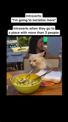 Relatable Introvert Humor: When Plans Go Wrong
