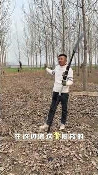 Unbeatable Power: The High-Branch Saw Revolutionizes Garden Maintenance