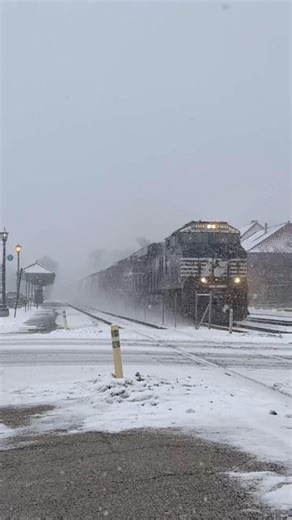 Loose horses running loose on the #BNSF. #NorfolkSouthern. 01.30.26 1433 hours