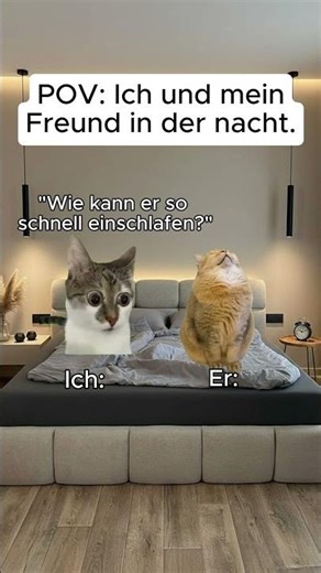 Wer kennts?😂😂 #cats #lustig #funny #backgroundvideo #cat #chill #katze #memes #comedy #chat