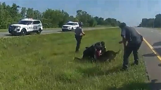 Semi chase ends with K9 attacking driver on U.S. 23