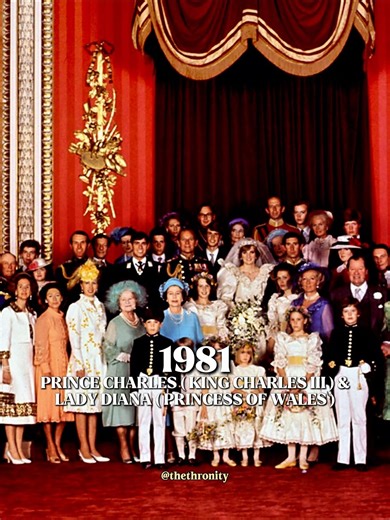 Lady Diana and King Charles, their sons, and their daughters-in-law. #ladydiana #kingcharles #royal