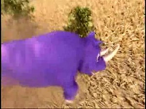 Watch Rhino Rampage Game on Amazon Live