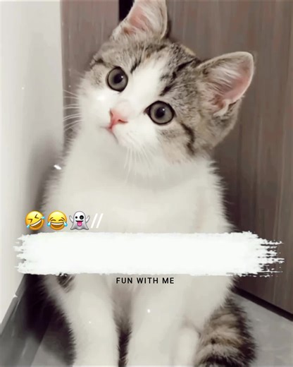 tum qismat wale ho🤣#fyp #foryoupage #funnypoetry #funnystatus #tiktokteamdontunderreviewmyvide