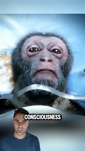 118K views · 329 reactions | Monkey Head Transplant  #fblifestyle | Wrecker Reels | Facebook