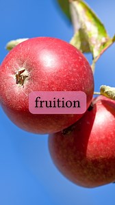 Are “fruit” and “fruition” related? For all the details, check out this issue of the Linguistic Discovery newsletter: LinguisticDiscovery.com/posts/fruition This video was edited the awesome team at Vimerse @Vimerse_Media #fruit #fruition #etymology #Latin #English #linguistics #language | Linguistic Discovery