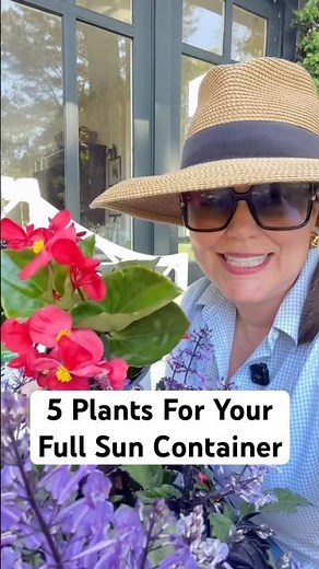 5 Plants You Need For A Full Sun Container #gardening #plants