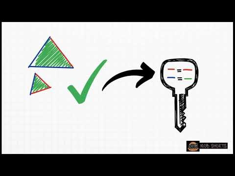 Similarity in Geometry | Grade 12 Maths CAPS