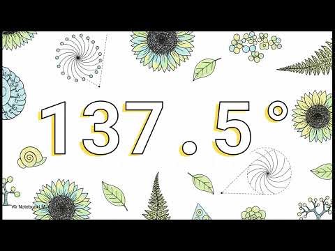 התוכנית האוניברסלית של הטבע