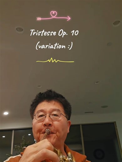 Tristesse Op.10 #tristesse #frenchhorn #music #musica #horn | sad music