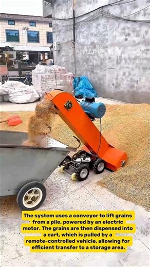 Automated Grain Handling System: Small Scale Efficiency in Action