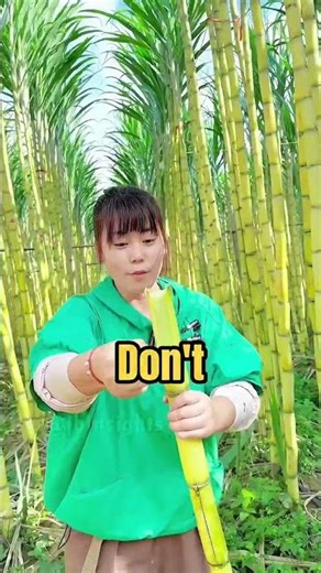 Most Delicious Fruits Chinese People Eat 🍊🥕#facts #chinesefruit #reallifehacks