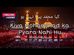 Kiya Mohammad ka Pyara Nahi Hu || slowed Reverb|| full naat || sarwar and nouha jee