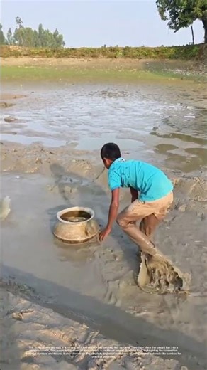 Mud, Sweat, and Fish: Catching Nature's Bounty the Old - Fashioned Way