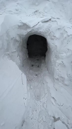 @cboystv No respect ••••••••••••••••••••••••••••••••••••••••••••••••••••••• #UTVFails #UTV #SideBySide #SideBySideFails #RZRFails #MaverickFails #PolarisRZR #WildCatFails #YXZFails #YXZ1000RFails #YamahaYXZ #ArticCatWildCat #CanAmMaverickX3 #MaverickX3Fails #RZRXPTurbo #RZRTurbo #SideBySideFail #UTVFail | UTV Fails