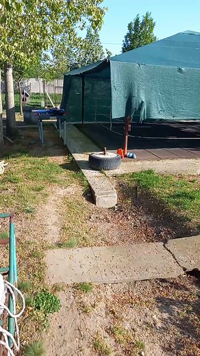 22K views · 86 reactions | Start training | Giuliano Stroe | Facebook