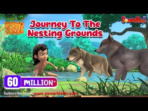 जंगल बुक सीजन 2 | हिंदी कहानियां | Journey To The Nesting Grounds | मोगली की कहानिया | PowerKids
