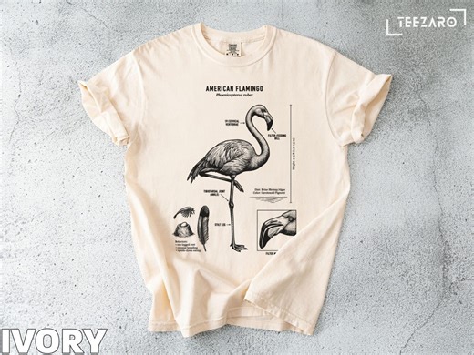 Flamingo T-shirt: Detailed Anatomy, Standing Bird, Stilt Legs, Filter Feeder - Etsy