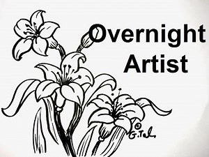 3 Lily Flower Drawings Easy Step By Step