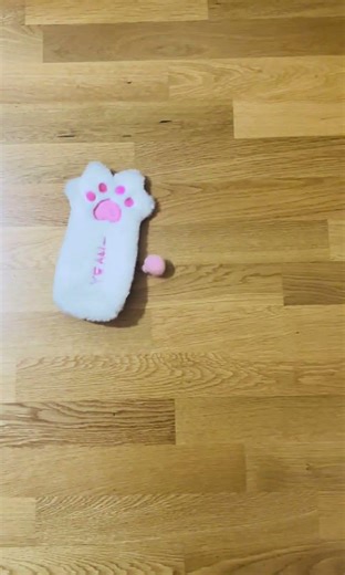 Fifth day or dropping random objects🐱