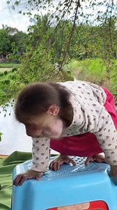 Oh my! Monkey Icy ate so many bananas that her little cheeks are puffed up like balloons! Part 8 | Monkey Loader