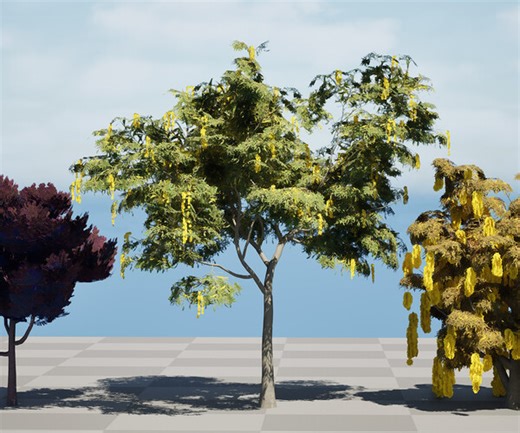 ArtStation - Australian Acacia Cootamundra Wattle Plant Trees | Game Assets