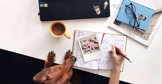 Most Popular Academic Planners for College Students