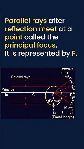 Terms Related to Spherical Mirrors | Pole, Focus, Centre of Curvature | Class 10 Physics