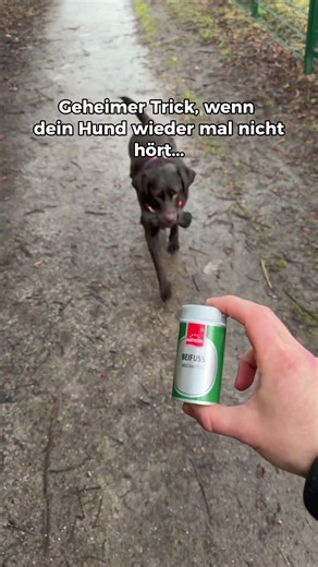 Dieser Trick hilft jedes Mal! Speichert euch ab und probiert es aus!🤝 #dogdad #dog #hund #labrador