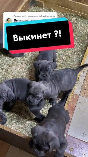 Рекомендовані акаунти