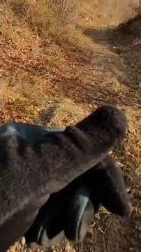 Salita dei Guadi da Canelli