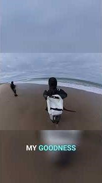 Giant Catch! Fisherman Lands HUGE Fish on the Beach! #shorts