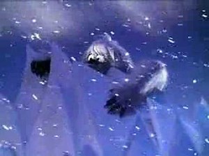 Dramatic Abominable Snowman