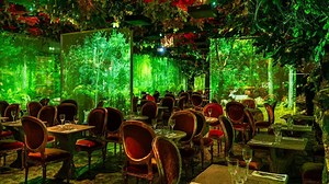 Dine in the heart of an enchanted forest at this new immersive restaurant!