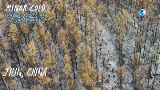 Embracing the subtle transition into #MinorCold. As winter's chill settles in, let's savor the crisp air, cozy moments, and the promise of nature's renewal. A time to reflect, recharge, and appreciate the beauty in simplicity. | Cultural Buffet | Facebook