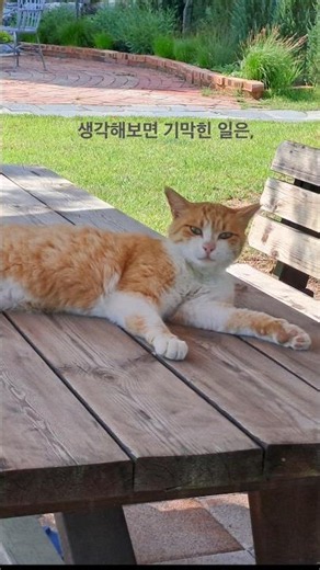 두 도시 이야기(찰스 디킨스)