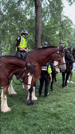 Royal Canadian Mounted Police - Exhibition - Montreal