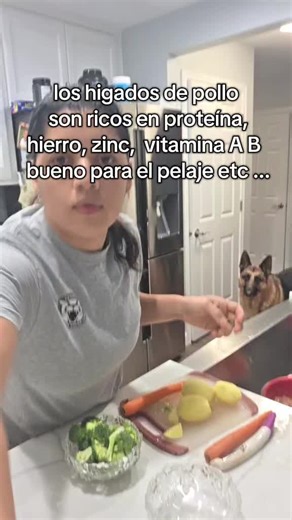 Healthy Chicken Liver Recipe for Dogs